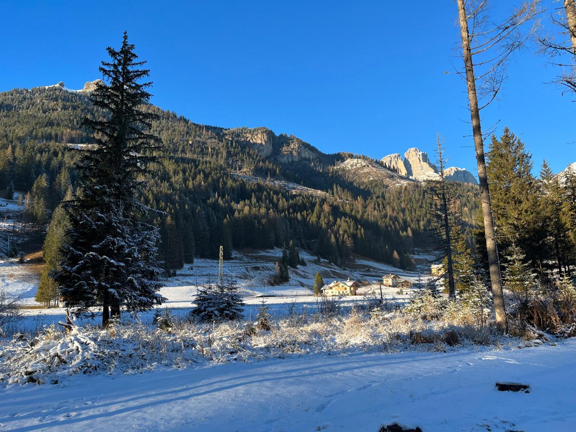 Mes Lastei Appartement Campitello di Fassa Buitenkant foto