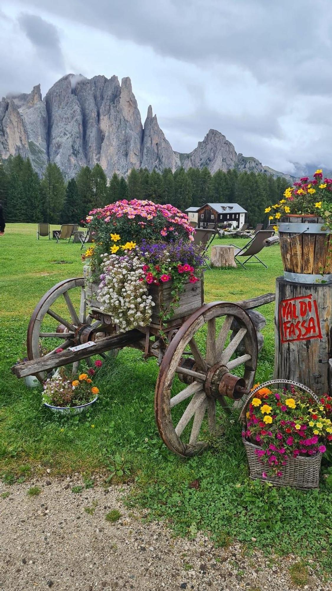 Mes Lastei Appartement Campitello di Fassa Buitenkant foto